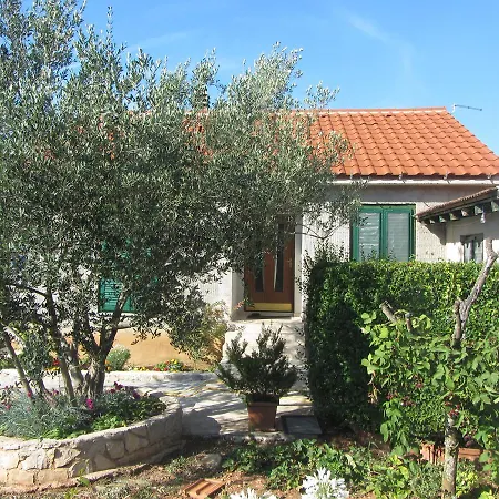 بيت للعطل Holiday Fig Tree