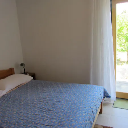 Holiday Fig Tree * Pašman