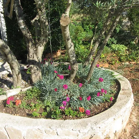 Holiday Fig Tree بيت للعطل